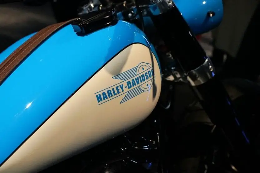A blue Harley-Davidson logo on the Chopper style customized bike